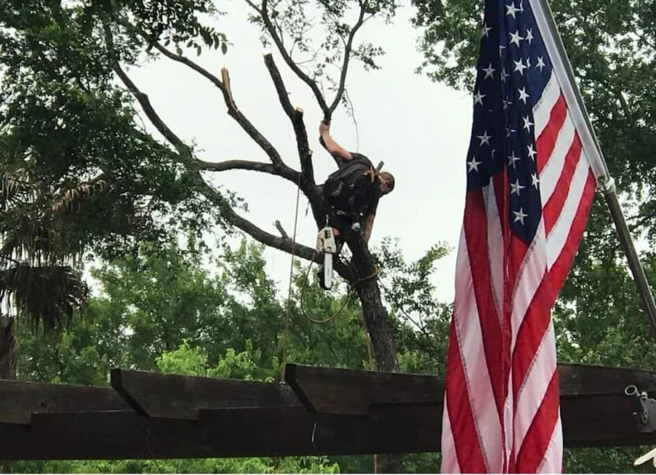 ATX Arbor tree trimming service