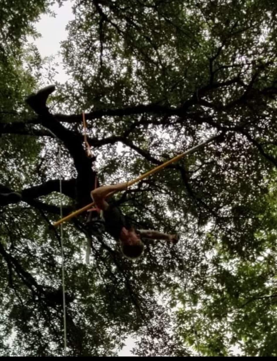 ATX Arbor rope work in live oak